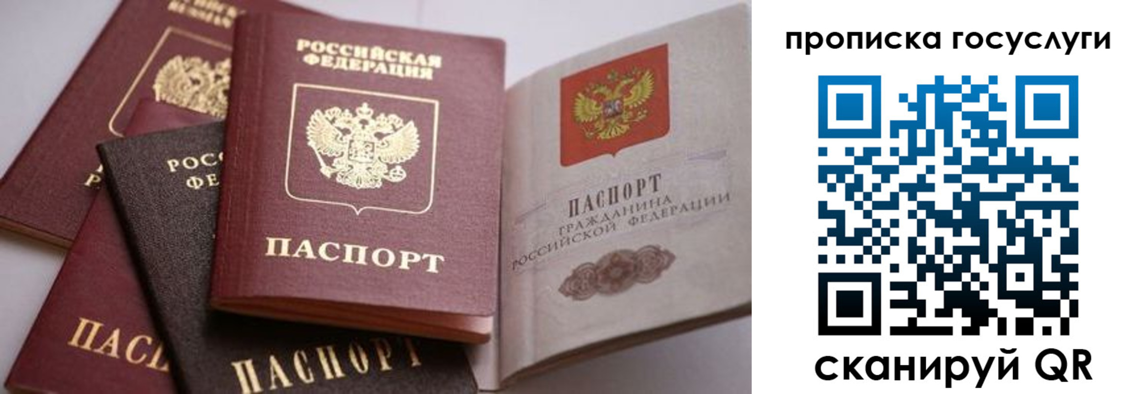 прописка иностранных граждан в России