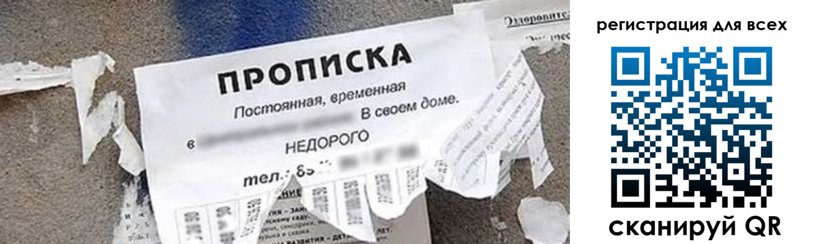 прописка поиск в России